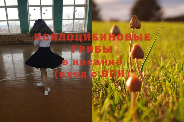 амф Аркадак