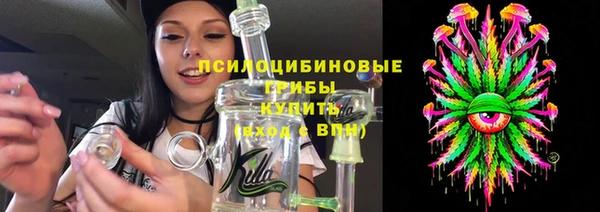 дживик Арсеньев