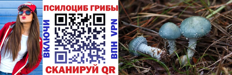 Галлюциногенные грибы мухоморы Сысерть